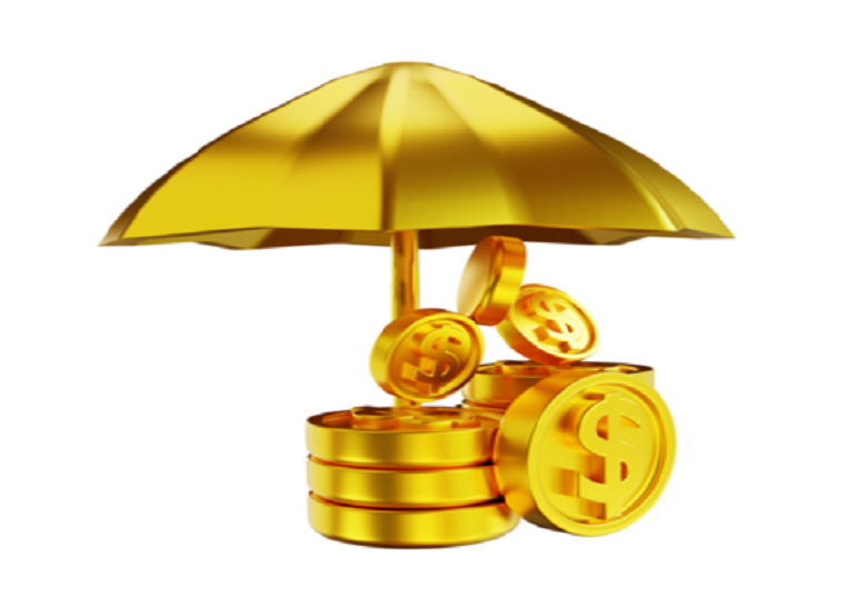 نمونه سایت بیمه عمر